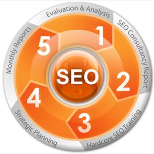 Biggest Blog Network - Benefits Of SEO Services Offered In India